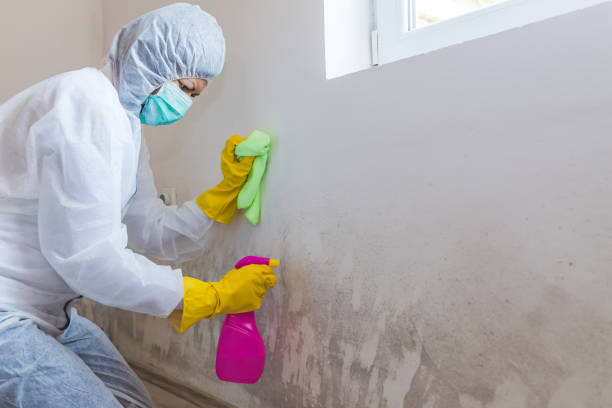 istockphoto-1224200952-612x612