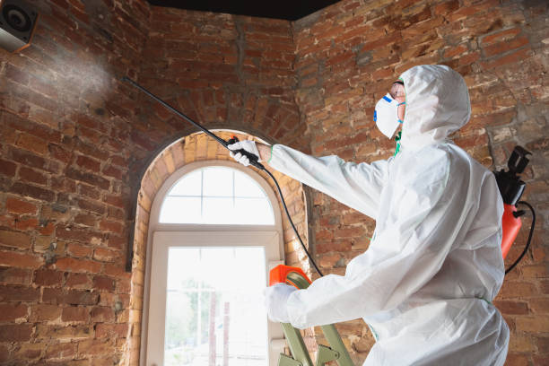 istockphoto-1224841701-612x612