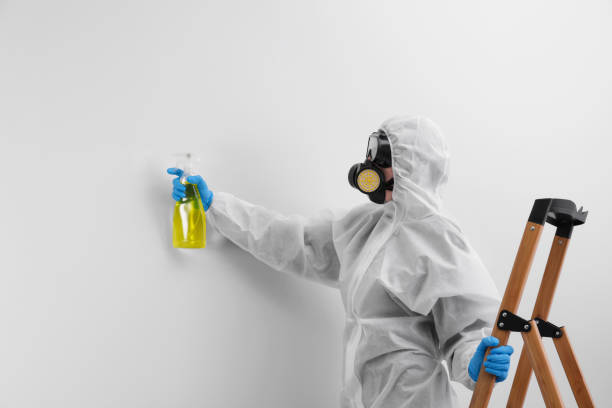 istockphoto-1754781681-612x612